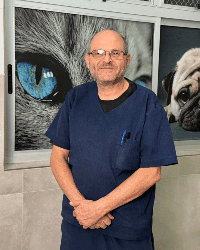 Dr. Flávio Furtado